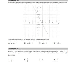 Matura 2020 - matematyka: ZADANIA, ARKUSZE CKE