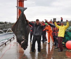 Gigantyczny halibut