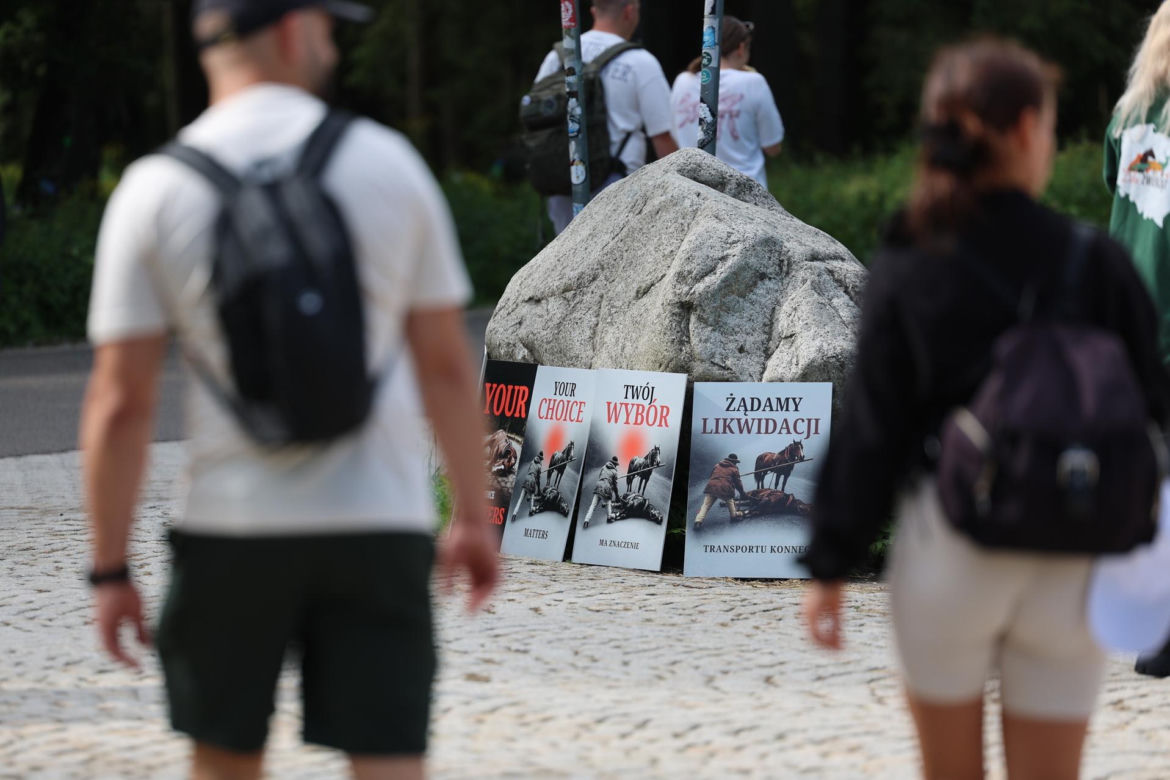 Protest przeciw przewozom konnym do Morskiego Oka