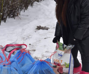 Walentynkowa akcja Torcida Girls. Dziewczyny wspierają bezdomne zwierzęta ze schroniska [ZDJĘCIA]