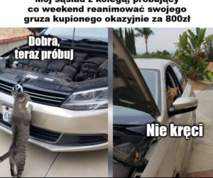 Memy o samochodach