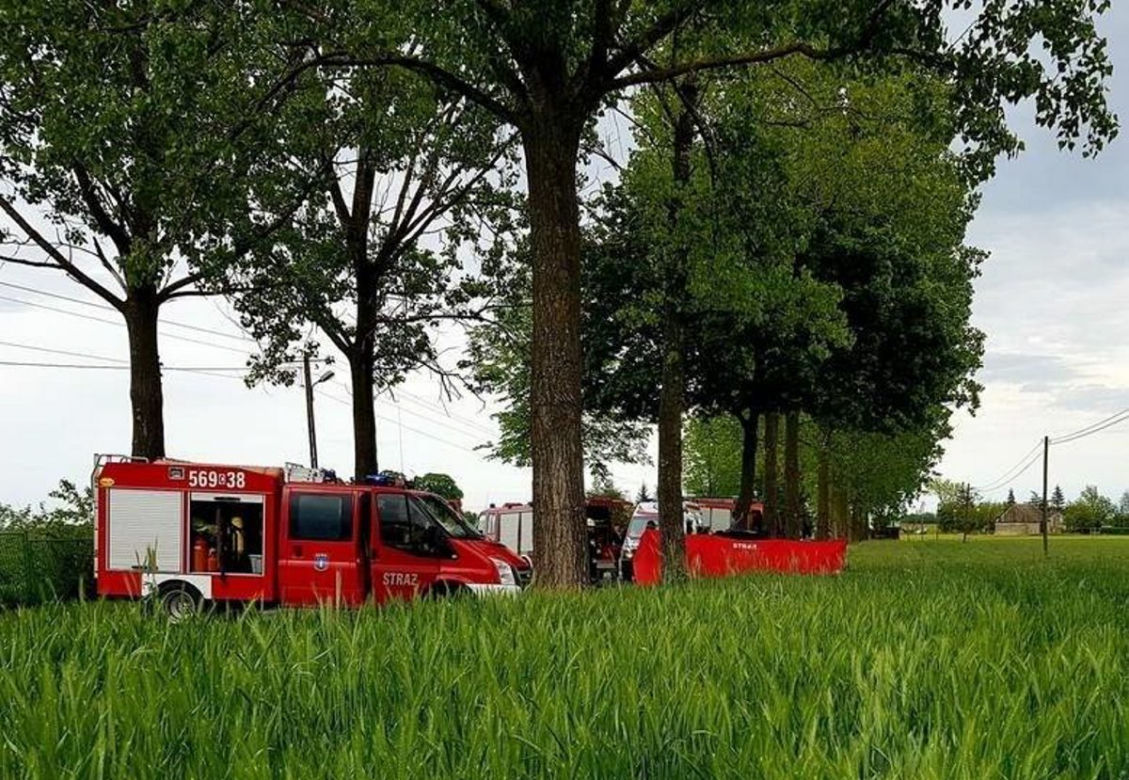 Ojciec z córką zginęli na drzewie