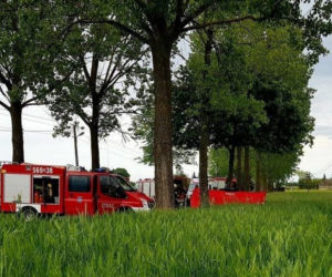 Ojciec z córką zginęli na drzewie