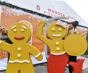 Dominika Tajner szaleje po rozstaniu