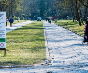 Koronawirus w Trójmieście. Zamiast po parku, plaży czy lesie ludzie spacerują po cmentarzach