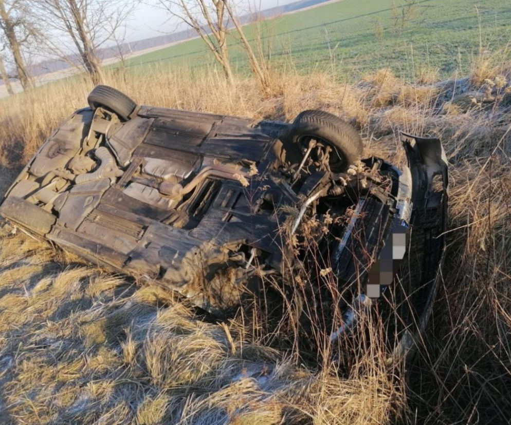 Niwki (opolskie): W tym BMW pijani byli wszyscy! Stare BMW wyleciało z drogi