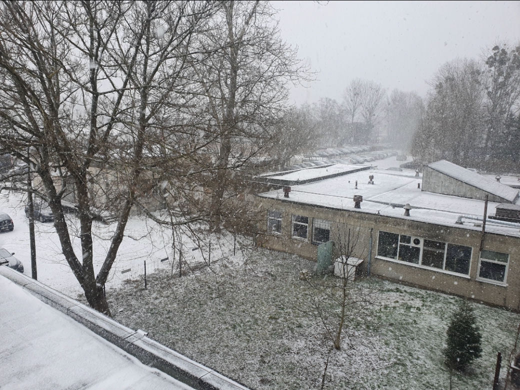 Śnieżyca i wichury atakują Toruń. Wymowne zdjęcia
