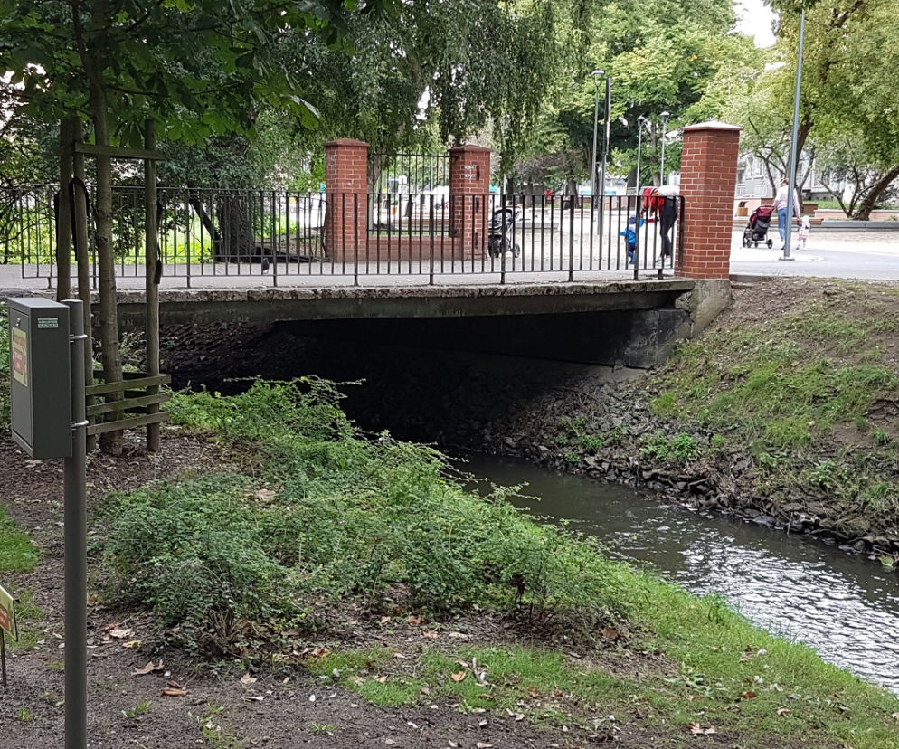 Gorzów park 