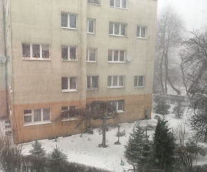 Pogodowy armagedon w województwie śląskim. Zamieć śnieżna przechodzi przez Śląsk!