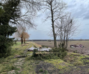 Wichura w Łódzkiem 17.02