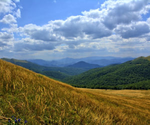 Bieszczady, Tarnica, 
