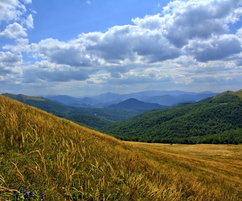 Bieszczady, Tarnica, 