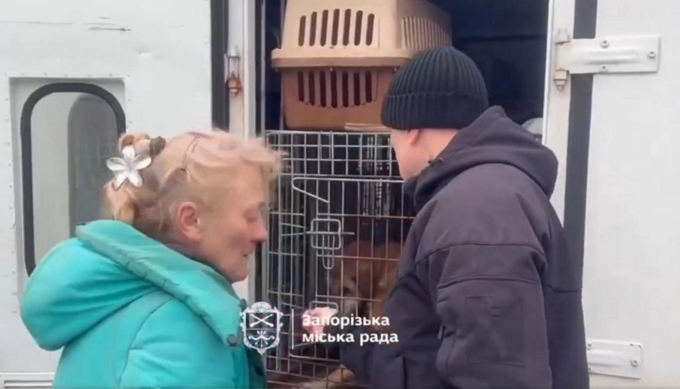 Atak na schronisko dla zwierząt Zaporoże