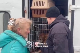 Atak na schronisko dla zwierząt Zaporoże