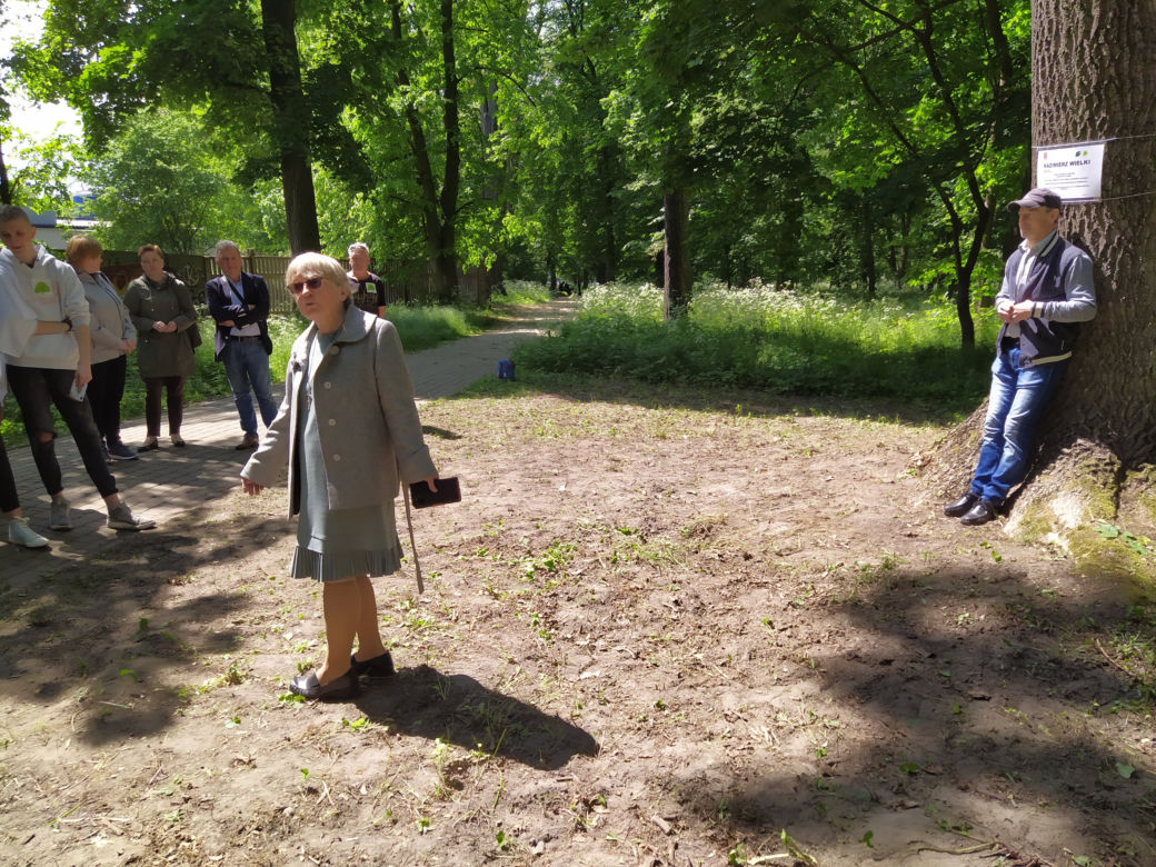 9. Siedleckie Dni Drzewa - inauguracja wiosennej edycji wydarzenia w 2022 roku - zdjęcia