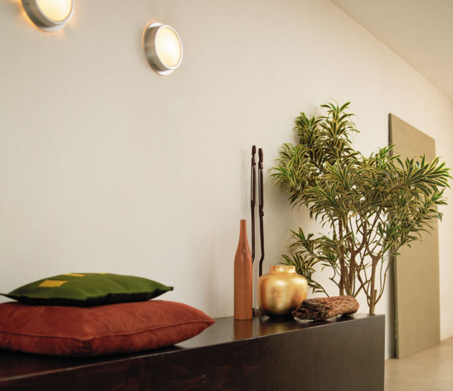Dracena