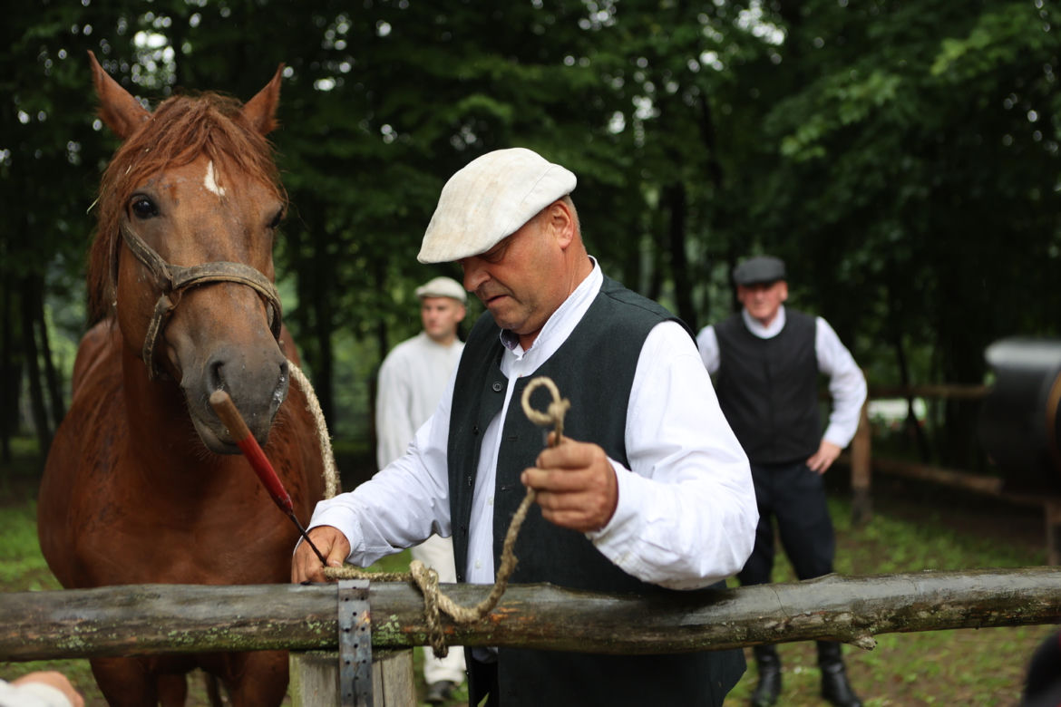 Jarmark koński w Muzeum Wsi Lubelskiej