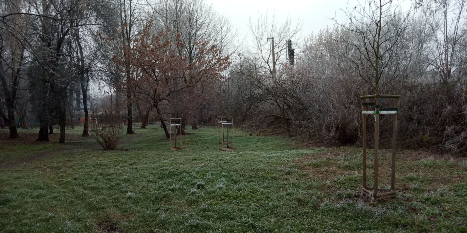 Park ul. Dekerta