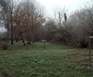 Park ul. Dekerta