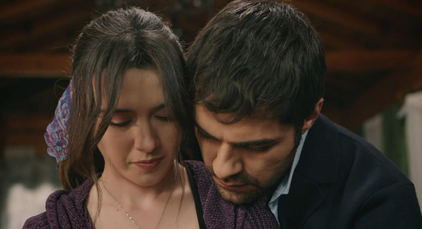 Wichrowe wzgórze odc. 354. Zeynep, Halil