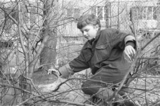 Anna German