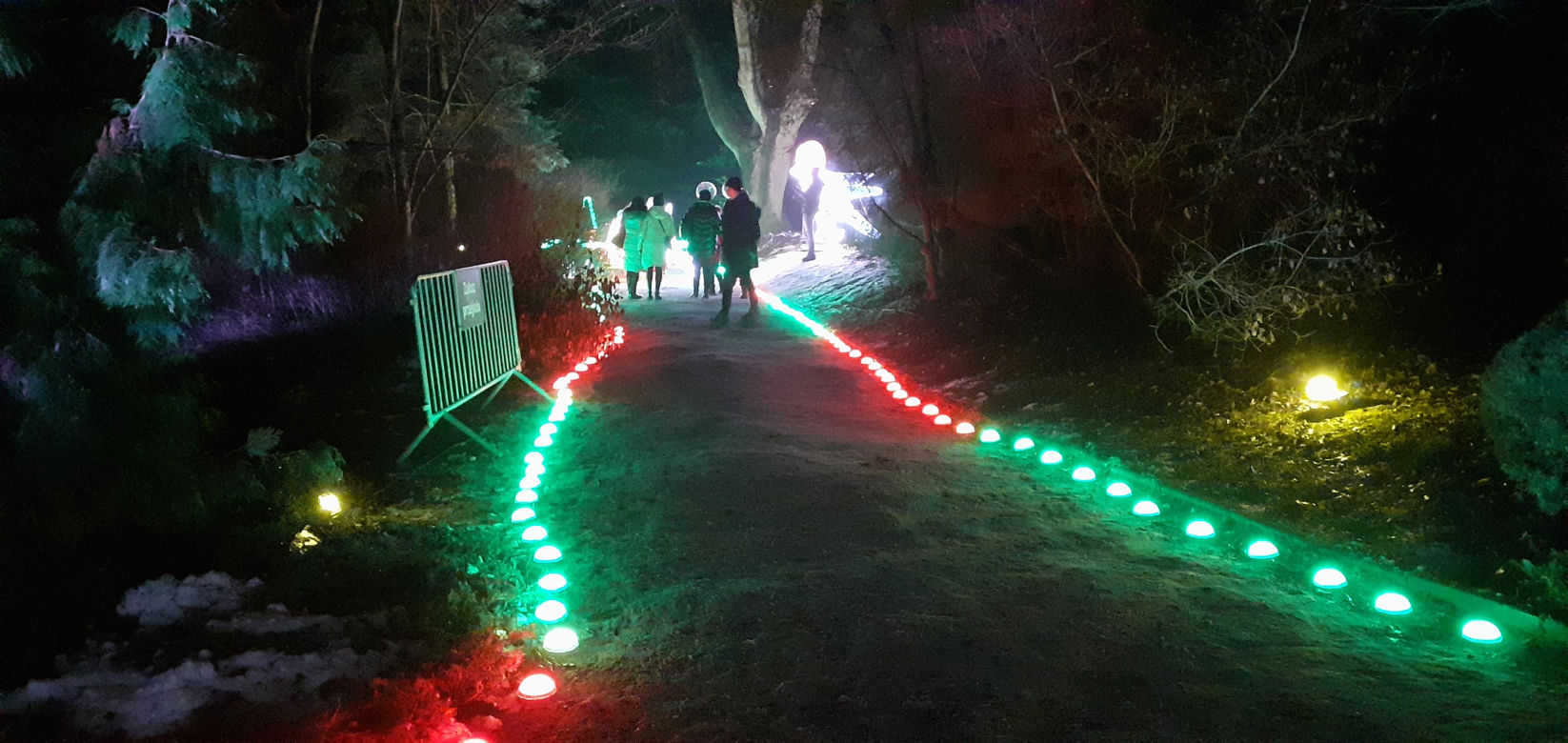 Lumina Park w Ogrodzie Botanicznym UMCS w Lublinie