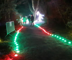 Lumina Park w Ogrodzie Botanicznym UMCS w Lublinie