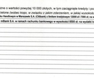 Aleksandra Dulkiewicz i jej majątek