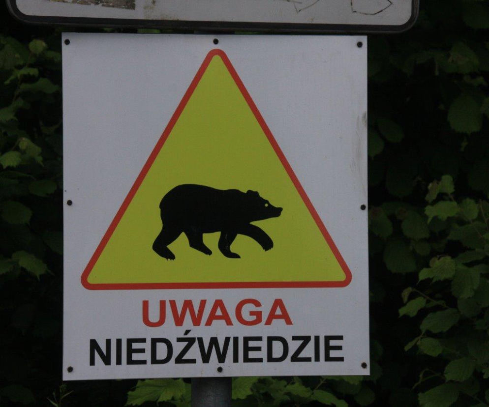 Spotkanie może skończyć się tragicznie