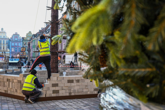 Trwa montaż choinki i świątecznych iluminacji