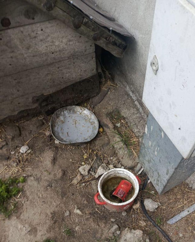 Właścicielowi psa grozi do 3 lat więzienia