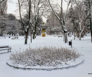 Park Jakuba Wagi zimą