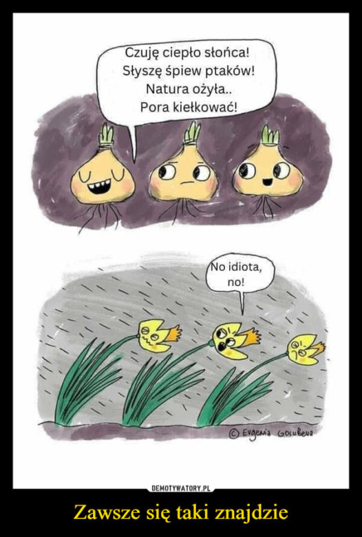 Pierwszy Dzień Wionsy - memy