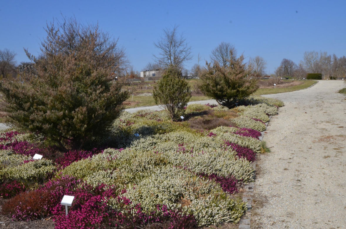 Ogród Botaniczny w Kielcach przed sezonem 2025