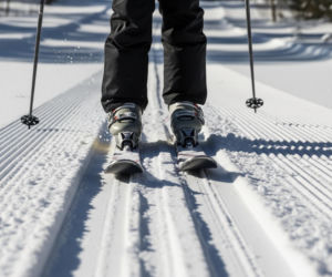 Pies Nazgul na Igrzyskach. Jak czworonożny intruz zaskoczył wszystkich?