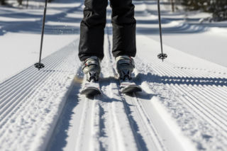 Pies Nazgul na Igrzyskach. Jak czworonożny intruz zaskoczył wszystkich?