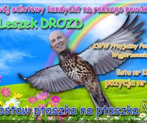 Kampanie wyborcze POWALAJĄCE na kolana! Ciąg dalszy ŚMIESZNYCH i ŻAŁOSNYCH plakatów wyborczych