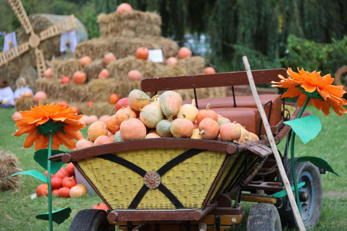 Farma dyń 2023 w Lublinie. Tak było w weekend otwarcia!