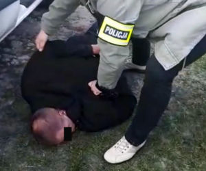 Policja zlikwidowała plantację marihuany