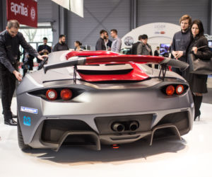 Arrinera Hussarya