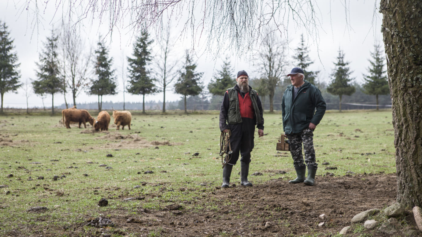 Rolnicy. Podlasie odcinek 15. Premiera w niedzielę 20 czerwca