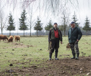 Rolnicy. Podlasie odcinek 15. Premiera w niedzielę 20 czerwca