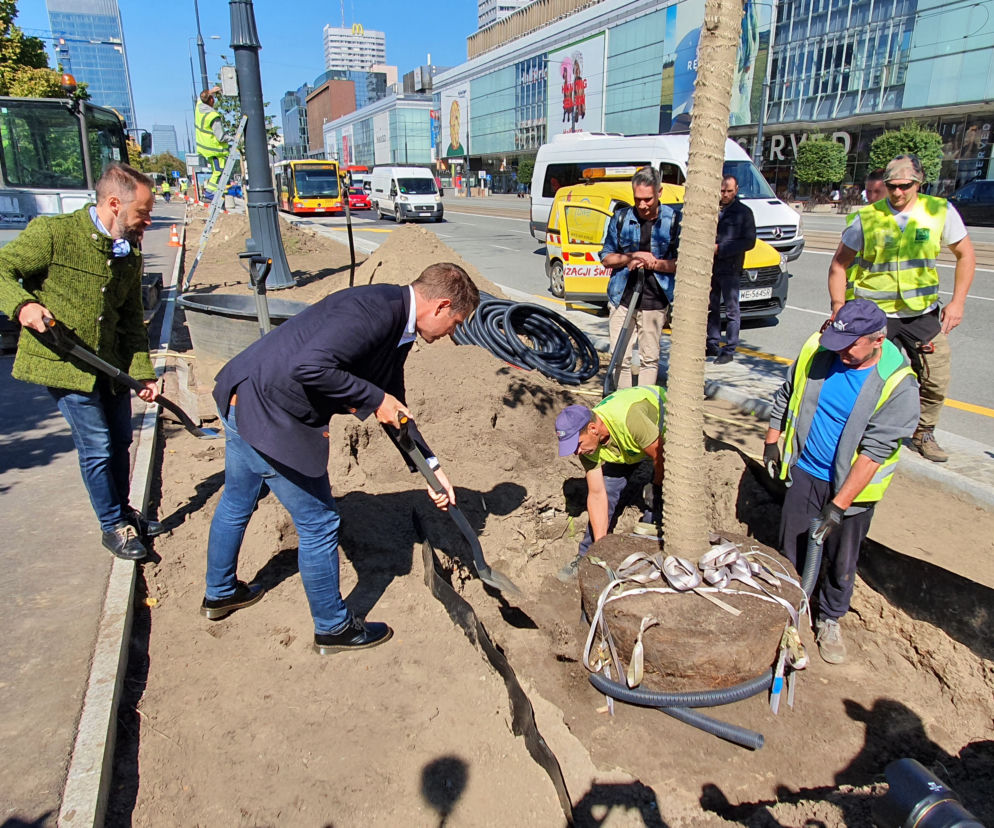 Warszawa stawia na zieleń! W centrum stolicy będzie więcej drzew!
