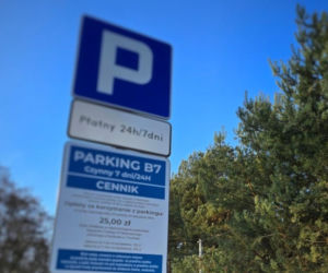 Rewolucja parkingowa w Boszkowie. Płatna strefa rusza już w maju