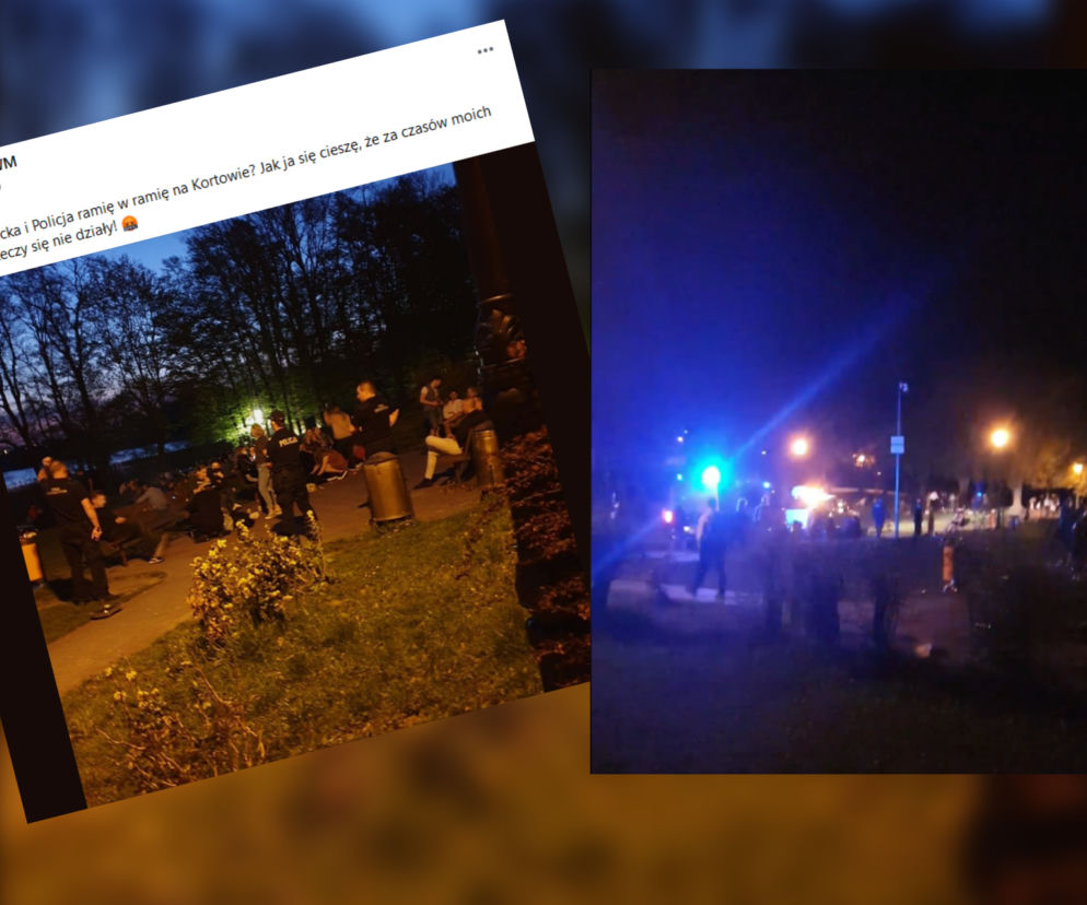 Olsztyn. Interwencje policji na plaży kortowskiej