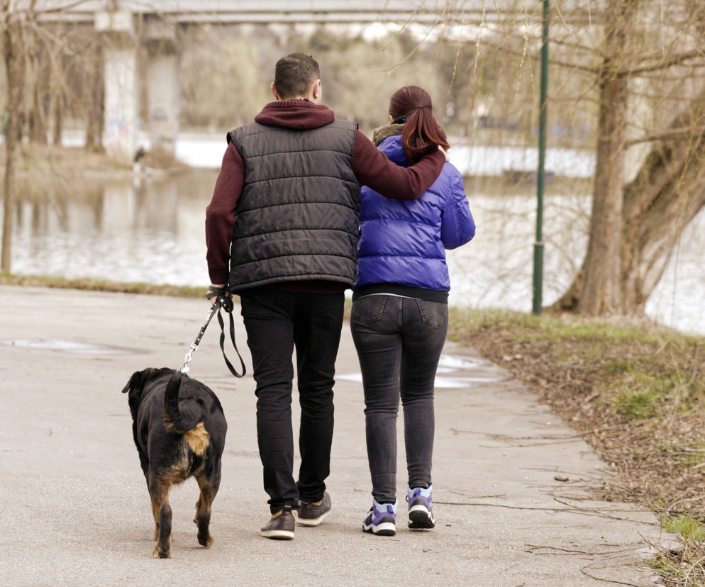 Zakaz wstępu do parków: Jaka kara grozi? Czy można spacerować?