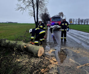 Interwencje Strażaków przy likwidacji szkód spowodowanych przez gwałtowny wiatr i burze