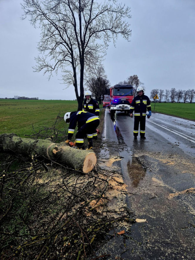 Interwencje Strażaków przy likwidacji szkód spowodowanych przez gwałtowny wiatr i burze
