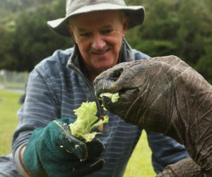 Najstarszy żółw świata nie żyje! Jonatan miał 193 lata