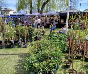 Impreza Wiosna na polu i w ogrodzie odbyła się w Siedlcach już po raz 18.